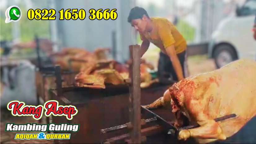 Kambing Guling Cikarang,Kambing Guling,Cikarang,