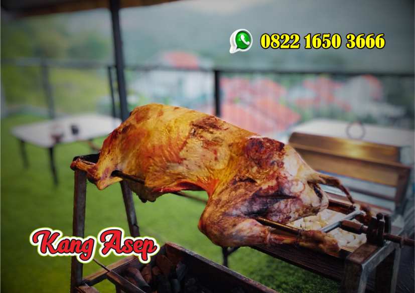 Kambing Guling Subang,Kambing Guling,Subang,