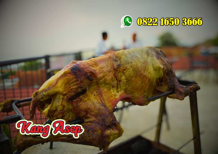 Kambing Guling Subang,Kambing Guling,Subang,