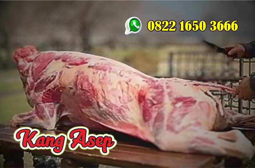 Sapi Guling,Sapi Guling utuh,