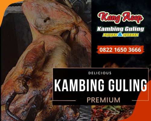 Kambing Guling 6 Kambing Guling,Kambing Bakar,